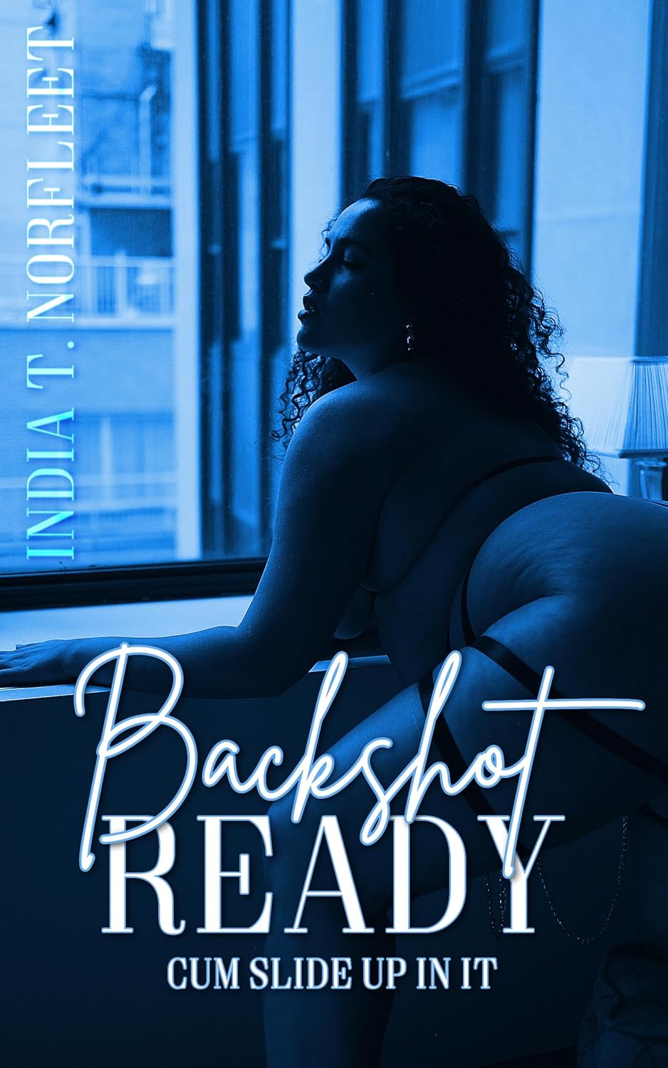 Book cover of Backshot Ready by India T. Norfleet.